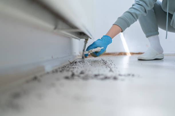 Professional Pest Control in Clarkson Valley, MO